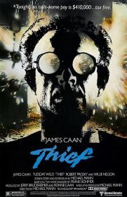 【高清影视之家首发 】大盗独行[简繁英字幕] Thief 1981 BluRay 1080p DTS-HDMA 5.1 x264<span style=color:#39a8bb>-DreamHD</span>