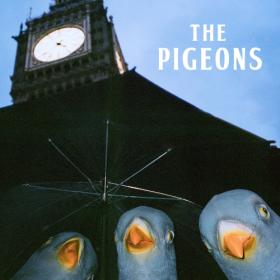 (2023) The Pigeons - Bird Brain Gang [FLAC]