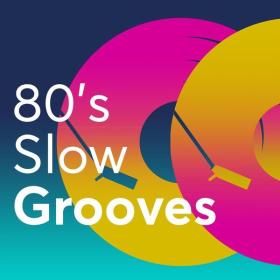 V A  - 80's Slow Grooves (2023 Vari) [Flac 16-44]