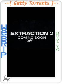 Extraction 2 2023 Dual YG