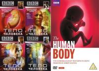 BBC The Human Body 6of8 As Time Goes By x264 AC3