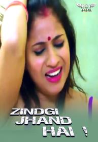 Zindagi Jhand Hai (2023) Hindi Hot 1080p HDRip <span style=color:#39a8bb>- QRips</span>