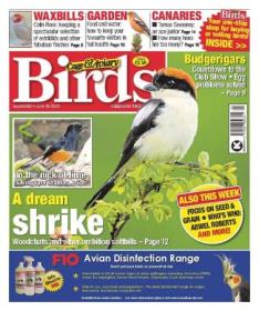 Cage & Aviary Birds - Issue 6268, June 14, 2023