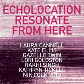 Laura Cannell - ECHOLOCATION_ Resonate From Here (2023) Mp3 320kbps [PMEDIA] ⭐️