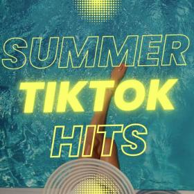 Various Artists - Summer Tik Tok Hits (2023) Mp3 320kbps [PMEDIA] ⭐️