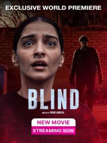 Blind (2023) Hindi 720p WEBRip x264 AAC ESub
