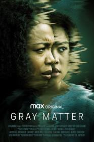 Gray Matter (2023) [INTERNAL] [1080p] [WEBRip] [5.1] <span style=color:#39a8bb>[YTS]</span>