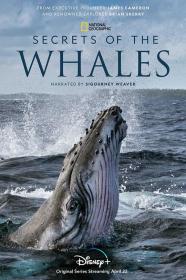 【高清剧集网发布 】鲸鱼的秘密[第02-03集][国语配音+中文字幕] Secrets of the Whales 2021 1080p WEB-DL H264 AAC-Huawei