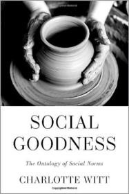 Social Goodness - The Ontology of Social Norms