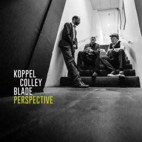 Benjamin Koppel - P E R S P E C T I V E (2023) [24Bit-96kHz] FLAC [PMEDIA] ⭐️