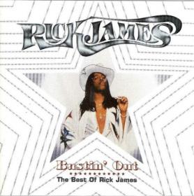 Rick James  - Discography 1978-2021 [FLAC] 88