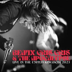 Beaux Gris Gris & The Apocalypse - Live In The United Kingdom 2023 (2023) [16Bit-44.1kHz] FLAC [PMEDIA] ⭐️