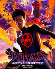 Spider Man Across The Spider Verse (2023) iTA-ENG WEBDL 1080p x264-Dr4gon<span style=color:#39a8bb> MIRCrew</span>