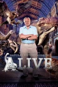 David Attenboroughs Natural History Museum Alive (2014) [1080p] [BluRay] <span style=color:#39a8bb>[YTS]</span>