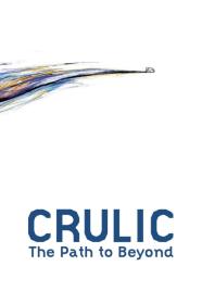 Crulic - The Path To Beyond (2011) [1080p] [WEBRip] [5.1] <span style=color:#39a8bb>[YTS]</span>