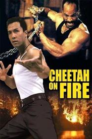 Cheetah On Fire (1992) [1080p] [BluRay] <span style=color:#39a8bb>[YTS]</span>