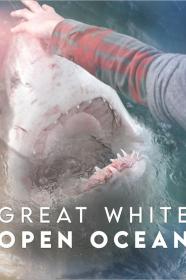Great White Open Ocean (2022) [720p] [WEBRip] <span style=color:#39a8bb>[YTS]</span>