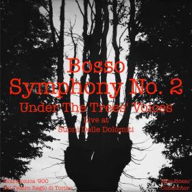 Ezio Bosso - Symphony No 2 Under the Trees Voices (2013 Classica) [Flac 16-44]