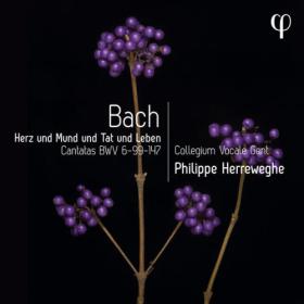 Collegium Vocale Gent - Herz und Mund und Tat und Leben - Bach Cantatas BWV 6-99-147 (2023) [24Bit-96kHz] FLAC [PMEDIA] ⭐️