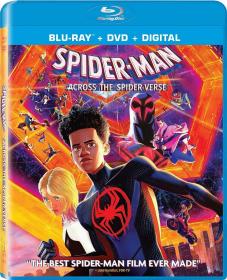 Spider-Man Across the Spider-Verse 2023 1080p BluRay x265 10bit DTS-WiKi