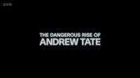 BBC The Dangerous Rise of Andrew Tate 1080p x265 AAC