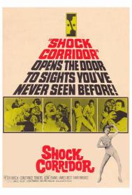 【高清影视之家发布 】恐怖走廊[中文字幕] Shock Corridor 1963 Criterion Collection BluRay 1080p LPCM 1 0 x265 10bit<span style=color:#39a8bb>-DreamHD</span>