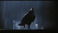 The Crow 1994 1080p BluRay Remux DTS-HD MA 5.1