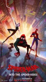 【高清影视之家发布 】蜘蛛侠：平行宇宙[简繁英字幕] Spider-Man Into the Spider-Verse 2018 BluRay 2160p Atmos TrueHD7 1 x265 10bit<span style=color:#39a8bb>-DreamHD</span>