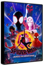 Spider-Man Across the Spider-Verse 2023 HYBRID BluRay 1080p DTS-HD MA TrueHD 7.1 Atmos x264-MgB