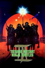 Teenage Mutant Ninja Turtles III 1993 1080p PMTP WEB-DL DDP 5.1 H.264-PiRaTeS[TGx]