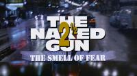 The Naked Gun 2 5-The Smell of Fear 1991 1080p BluRay Remux DTS-HD 5.1