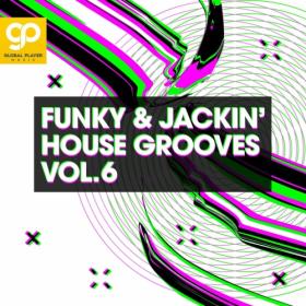Various Artists - Funky & Jackin' House Grooves Vol  6 (2023) Mp3 320kbps [PMEDIA] ⭐️