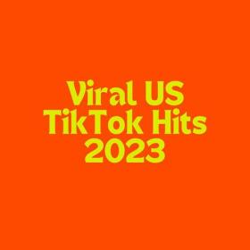 Various Artists - Viral US TikTok Hits - 2023 (2023) Mp3 320kbps [PMEDIA] ⭐️