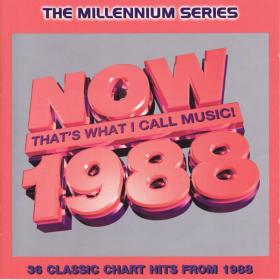 V A  - Now That's What I Call Music! 1988 The Millennium Series [2CD] (1999 Pop) [Flac 16-44]