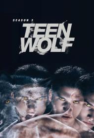 Teen Wolf 2011 S03 720p H265-Zero00