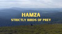BBC Hamza Strictly Birds of Prey 1080p HDTV x265 AAC