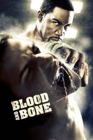Blood and Bone 2009 1080p ROKU WEB-DL HE-AAC 2.0 H.264-PiRaTeS[TGx]