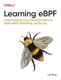 Learning eBPF - Programming the Linux Kernel for Enhanced Observability, Networking, and Security (True PDF)