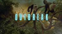 Outbreak 1995 1080p BluRay Remux DTS-HD 5.1