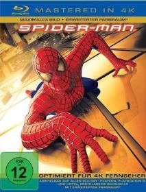 Spider-Man 1 2002 ITA ENG UHDrip HDR HEVC 2160p