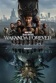 Black Panther Wakanda Forever 2022 IMAX 1080p WEBRip x265<span style=color:#39a8bb>-RBG</span>