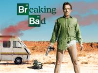 Breaking Bad (S01)(2008)(1080p)(VP9)(WebDL)( EN 5 1+SPA 2 0)(Complete) PHDTeam