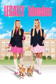 Legally Blondes 2009 1080p ROKU WEB-DL HE-AAC 2.0 H.264-PiRaTeS[TGx]
