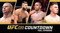 UFC 295 Countdown 1080p WEBRip h264<span style=color:#39a8bb>-TJ</span>