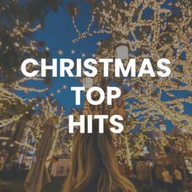 Various Artists - Christmas Top Hits (2023) Mp3 320kbps [PMEDIA] ⭐️