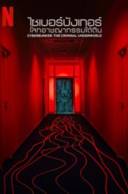 Cyberbunker The Criminal Underworld 2023 1080p NF WEB-DL DDP5.1 Atmos H.264<span style=color:#39a8bb>-FLUX[TGx]</span>