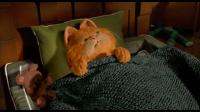 Garfield The Movie 2004 1080p BluRay Remux DTS-HD 5.1