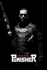 Punisher War Zone 2008 PTV WEB-DL AAC 2.0 H.264-PiRaTeS[TGx]