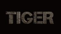 Tiger 3 2023 1080p DVDSCR (Hindi) 2.0GB NO ADS - Cukister