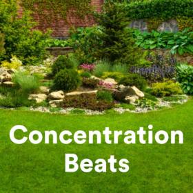 Various Artists - Concentration Beats (2023) Mp3 320kbps [PMEDIA] ⭐️